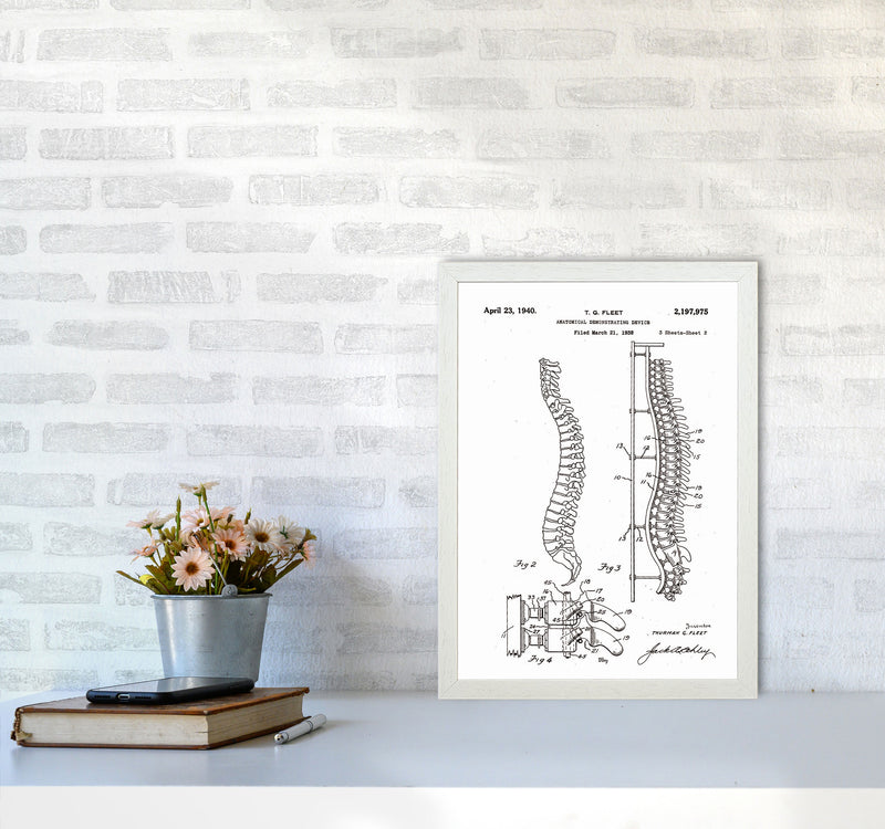 Anatomical Spine Display Patent Art Print by Jason Stanley A3 Oak Frame