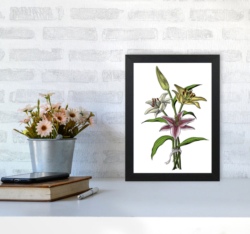Vintage Lilly Illustration Art Print by Jason Stanley A4 White Frame