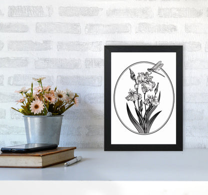 Vintage Beautiful Flower Art Print by Jason Stanley A4 White Frame