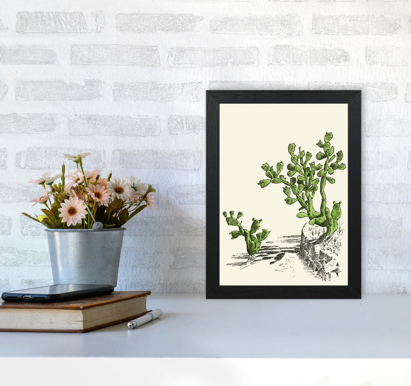 Prickly Pear Cactus Art Print by Jason Stanley A4 White Frame