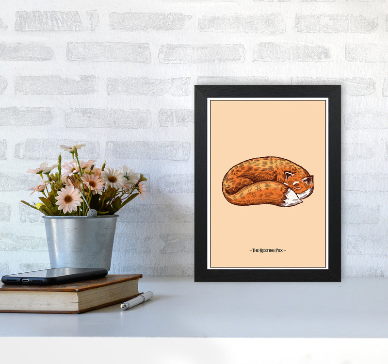 The Resting Fox Art Print by Jason Stanley A4 White Frame