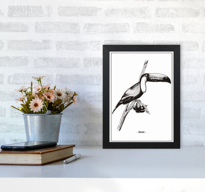 Tucan Art Print by Jason Stanley A4 White Frame