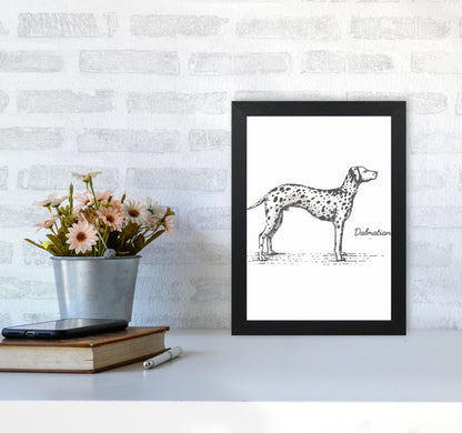Dalmation Art Print by Jason Stanley A4 White Frame