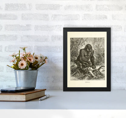 The Other King Of The Jungle Art Print by Jason Stanley A4 White Frame
