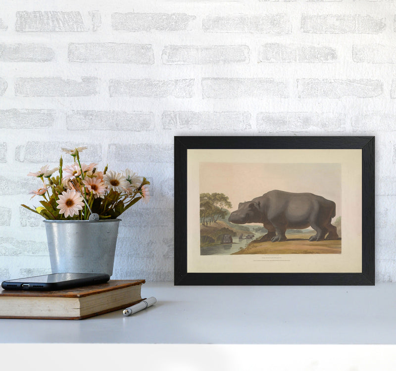 Vintage Hippo Illustration Art Print by Jason Stanley A4 White Frame