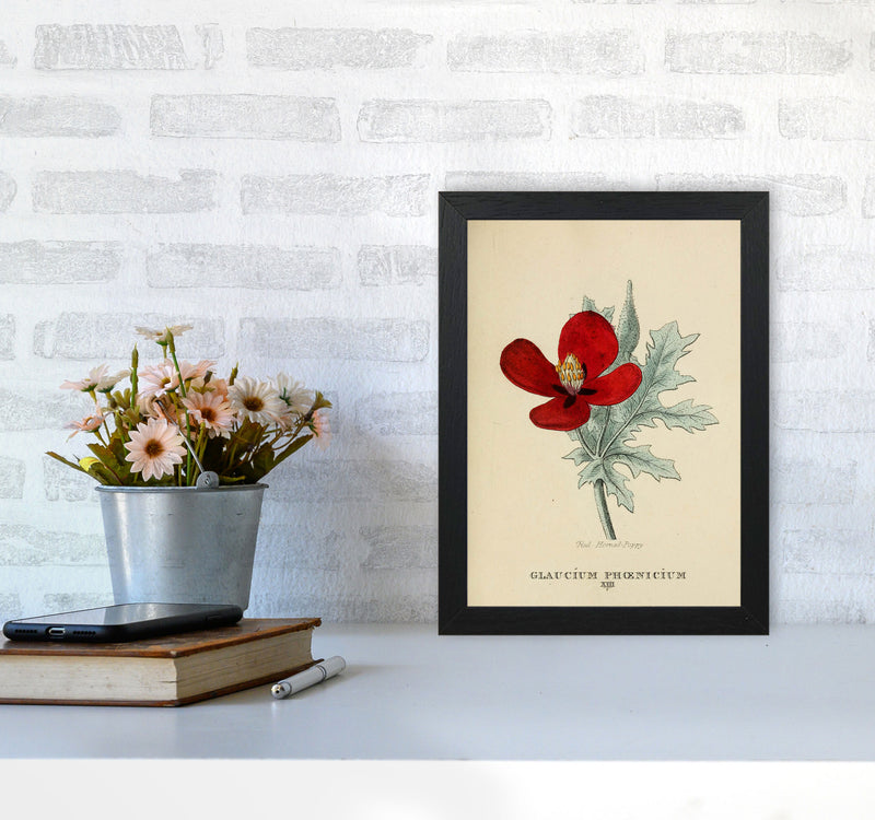 Vintage Flower Series 2 Art Print by Jason Stanley A4 White Frame