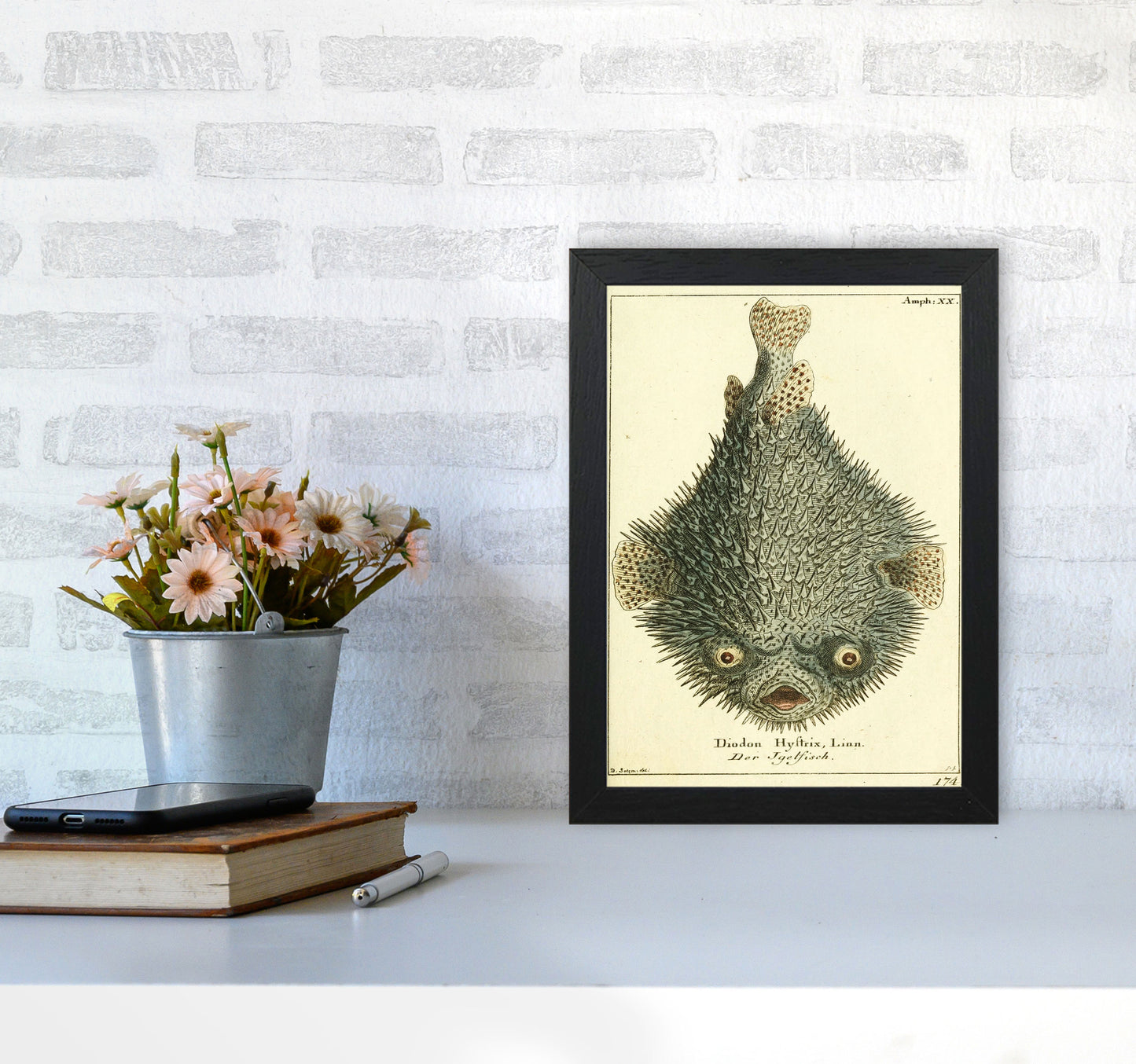 Vintage Japanese Fish Art Print by Jason Stanley A4 White Frame