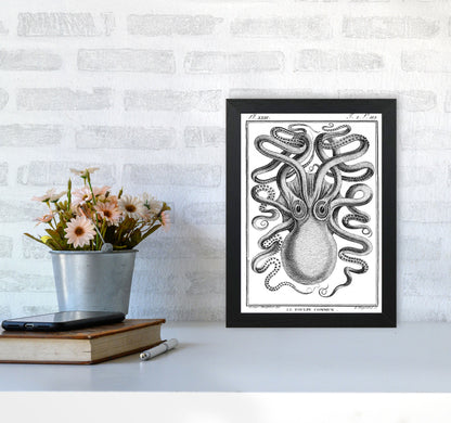 White Vintage Octopus Art Print by Jason Stanley A4 White Frame