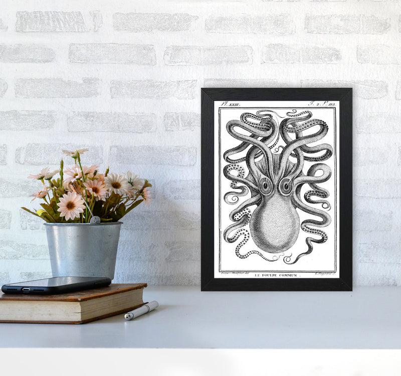 White Vintage Octopus Art Print by Jason Stanley A4 White Frame