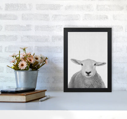 Trust This Wise Sheep Art Print by Jason Stanley A4 White Frame