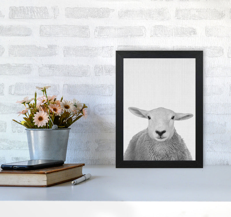 Trust This Wise Sheep Art Print by Jason Stanley A4 White Frame