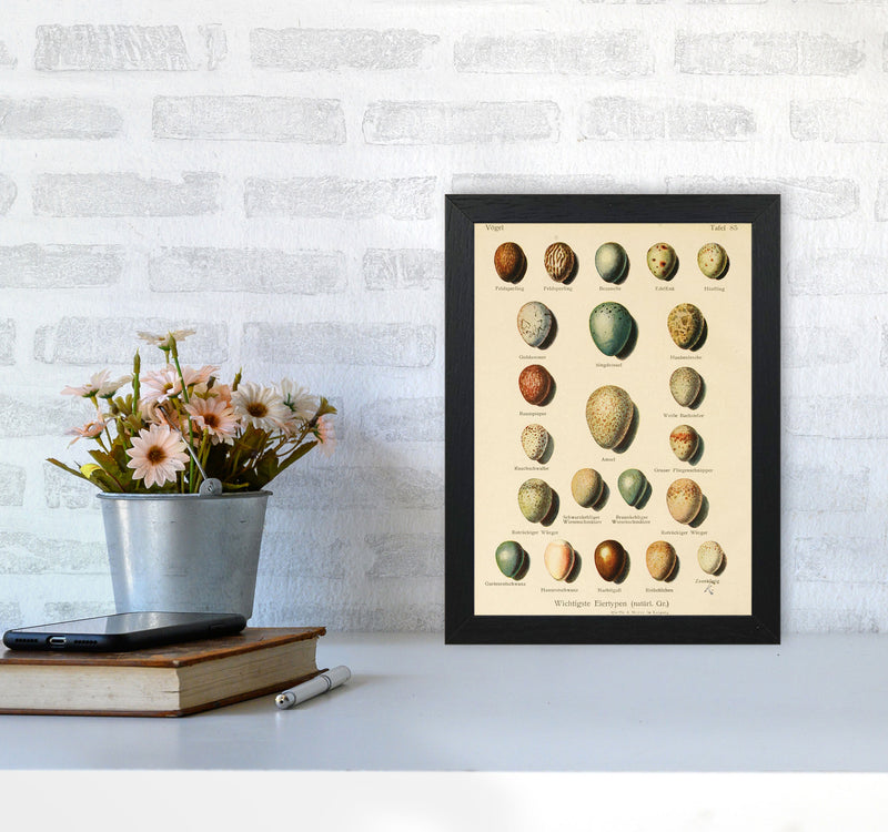 Vintage Set Of Eggs Art Print by Jason Stanley A4 White Frame