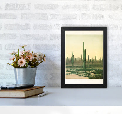 Vintage Desert Cactus Art Print by Jason Stanley A4 White Frame