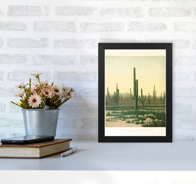 Vintage Desert Cactus Art Print by Jason Stanley A4 White Frame