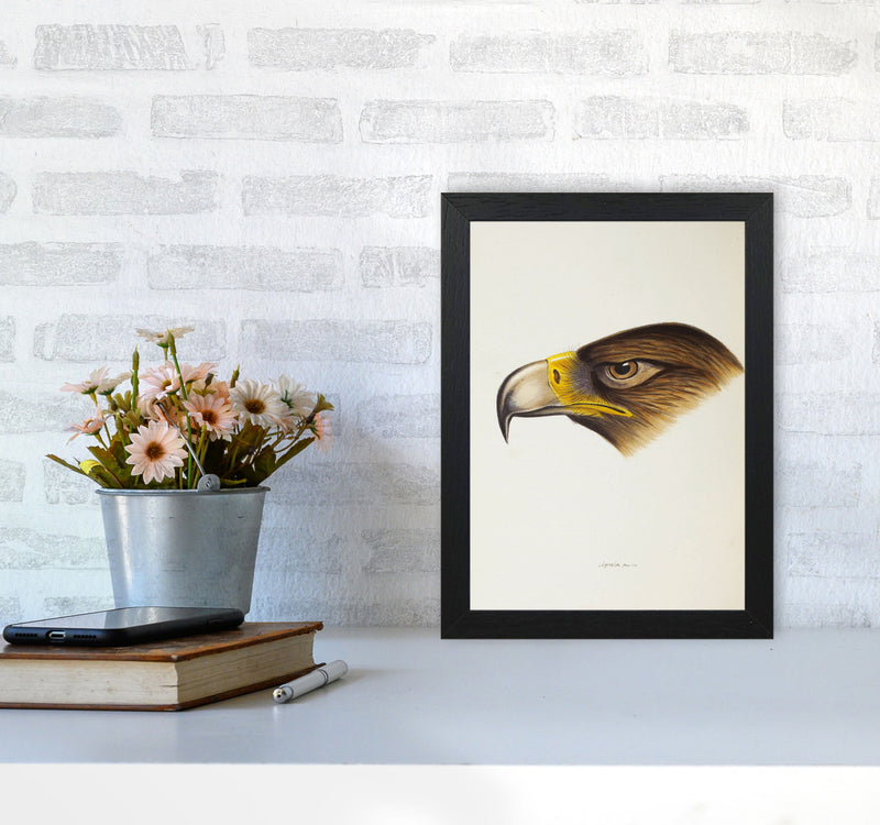 Vintage Eagle Face Art Print by Jason Stanley A4 White Frame