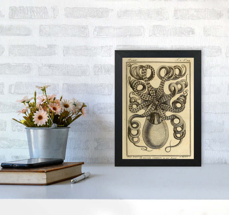 Vintage Octopus Art Print by Jason Stanley A4 White Frame