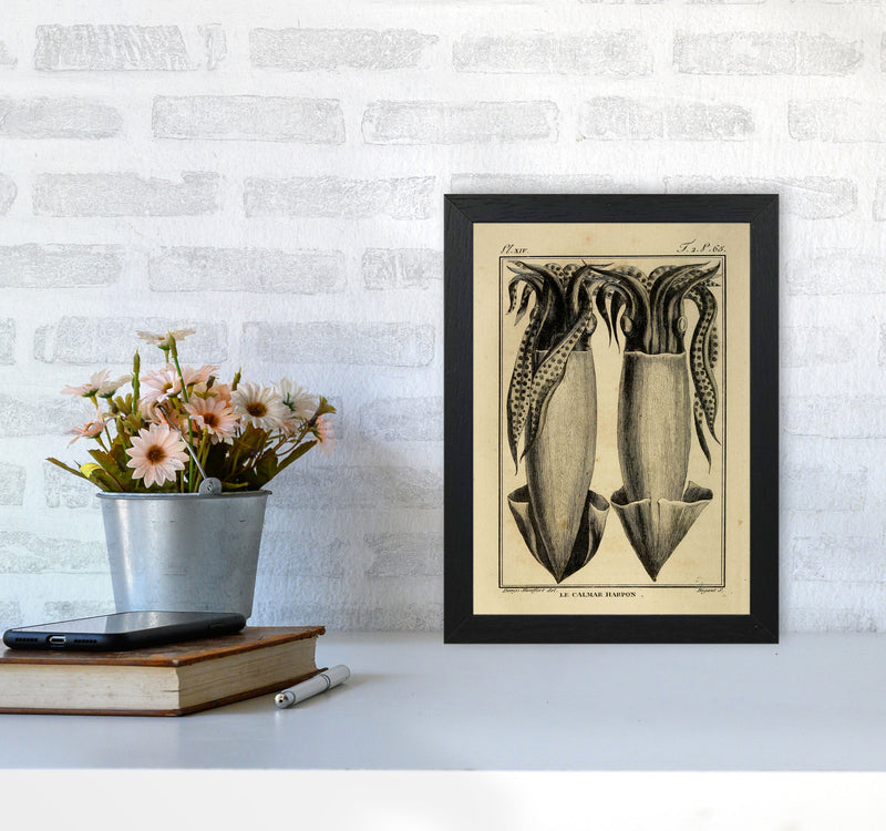 Vintage Squid 5 Art Print by Jason Stanley A4 White Frame