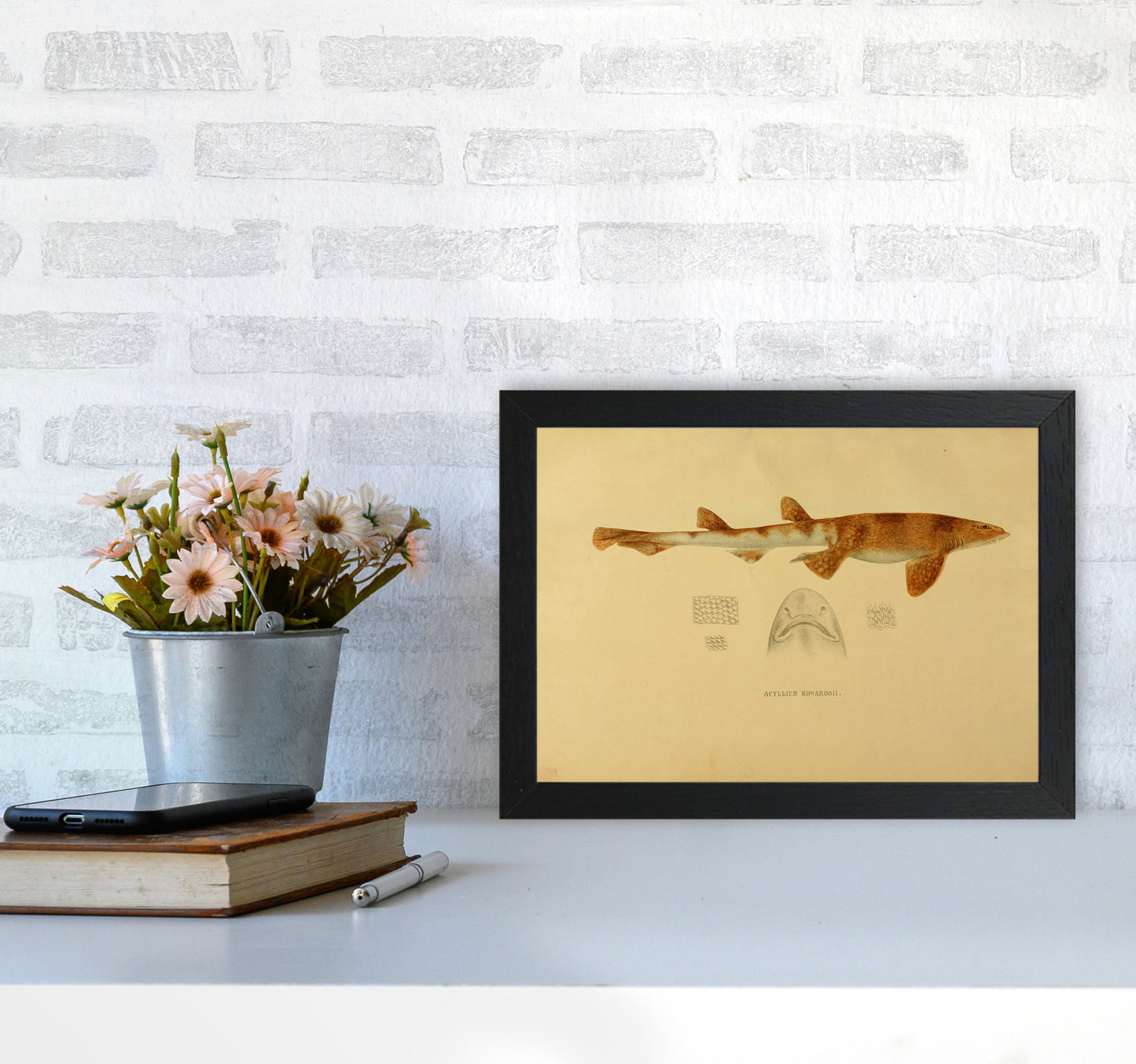 Shark Series 1 Art Print by Jason Stanley A4 White Frame