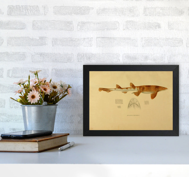 Shark Series 1 Art Print by Jason Stanley A4 White Frame
