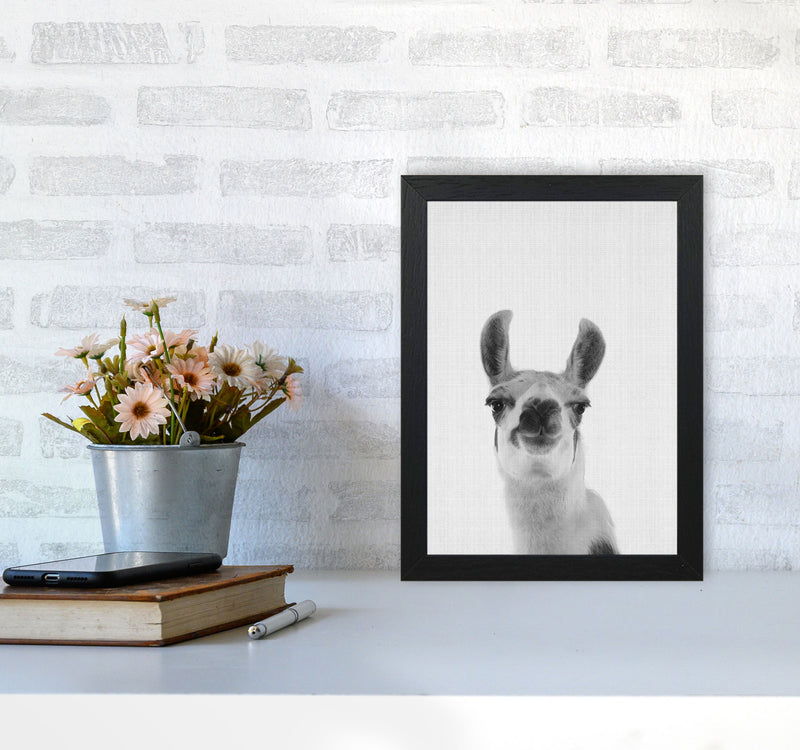 Llama Art Print by Jason Stanley A4 White Frame