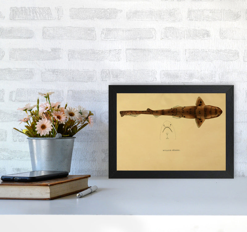 Shark Series 2 Art Print by Jason Stanley A4 White Frame
