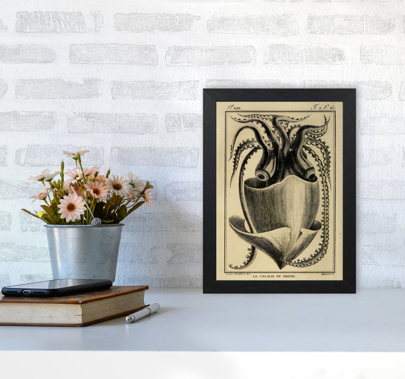 Vintage Squid Art Print by Jason Stanley A4 White Frame