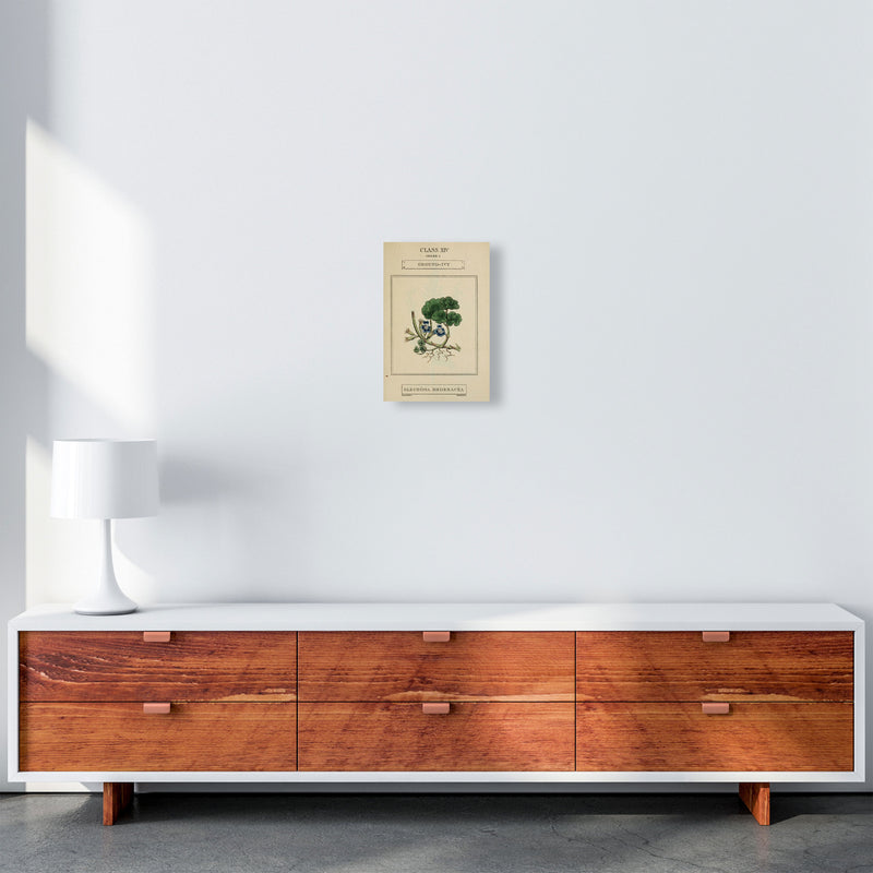 Vintage Flower Series 8 Art Print by Jason Stanley A4 Canvas