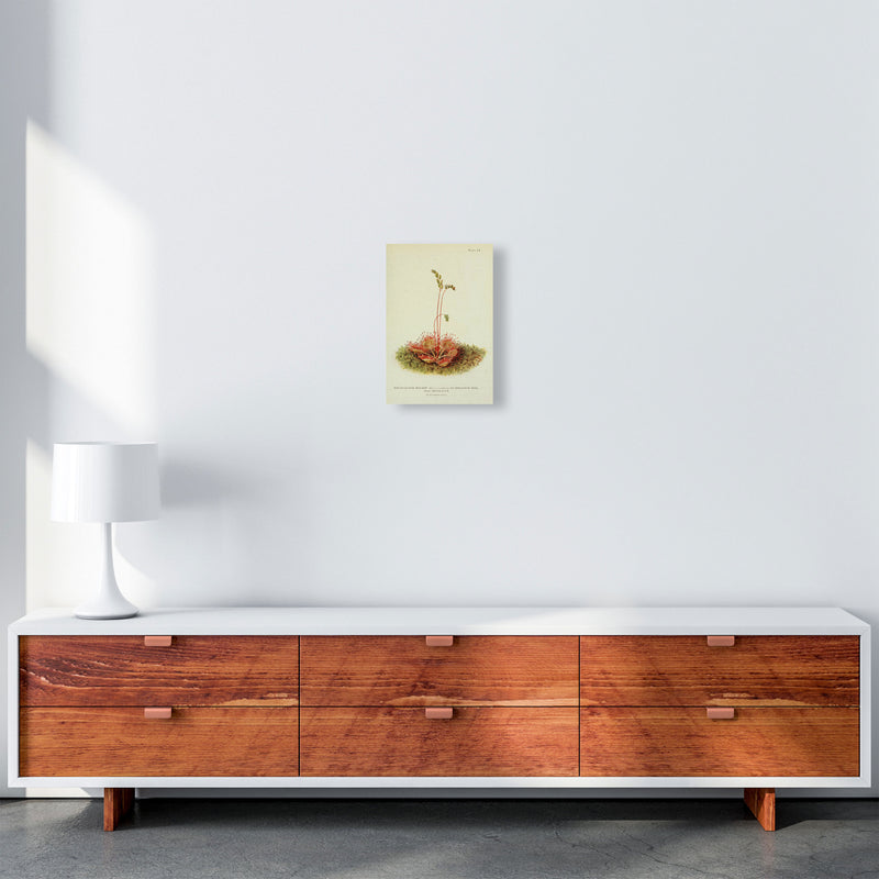 A Carnivorous Plant Art Print by Jason Stanley A4 Canvas