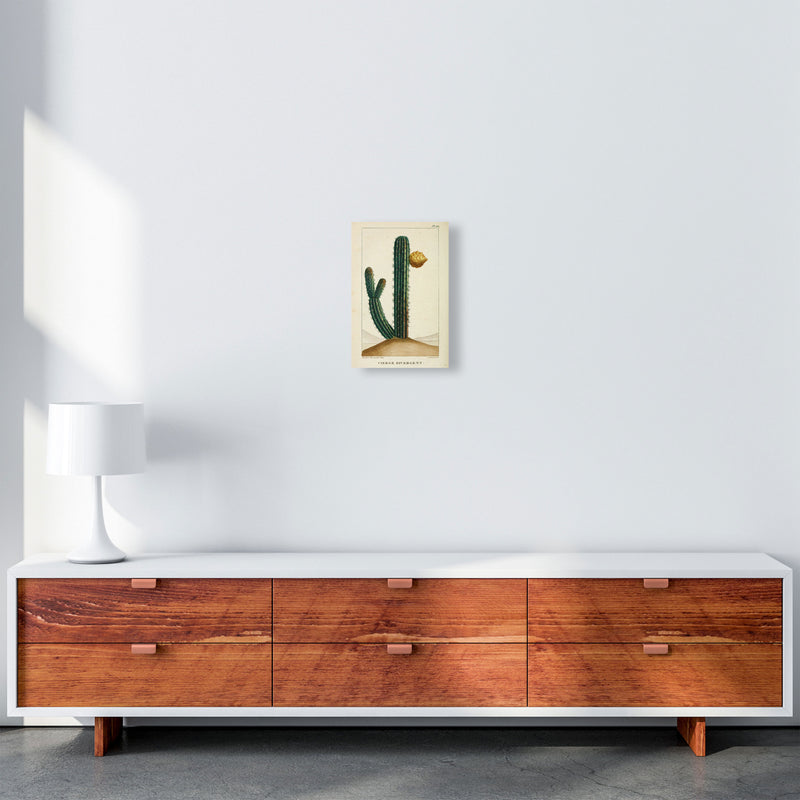 Vintage Cactus Art Print by Jason Stanley A4 Canvas