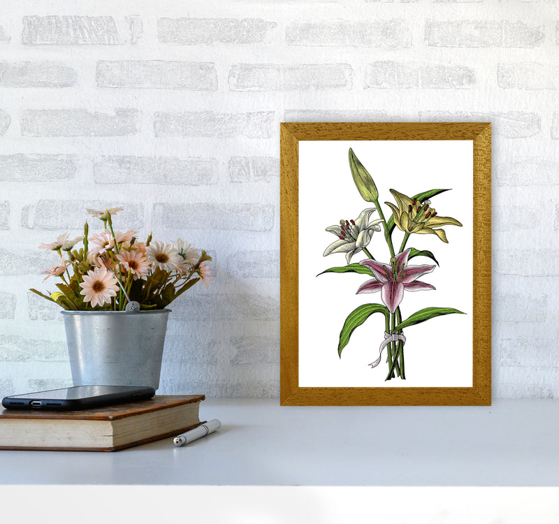 Vintage Lilly Illustration Art Print by Jason Stanley A4 Print Only
