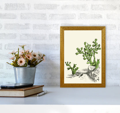 Prickly Pear Cactus Art Print by Jason Stanley A4 Print Only