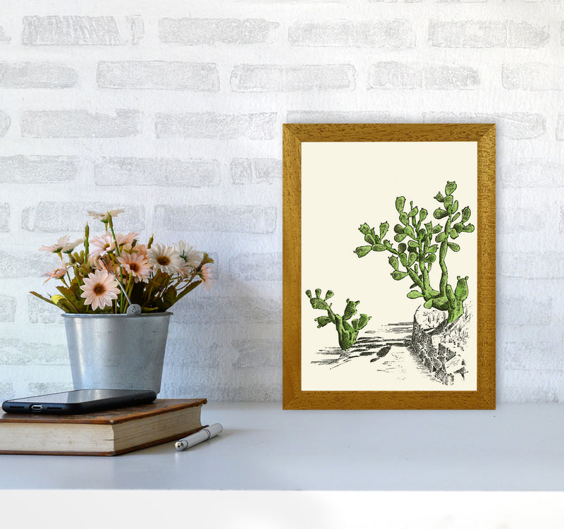 Prickly Pear Cactus Art Print by Jason Stanley A4 Print Only