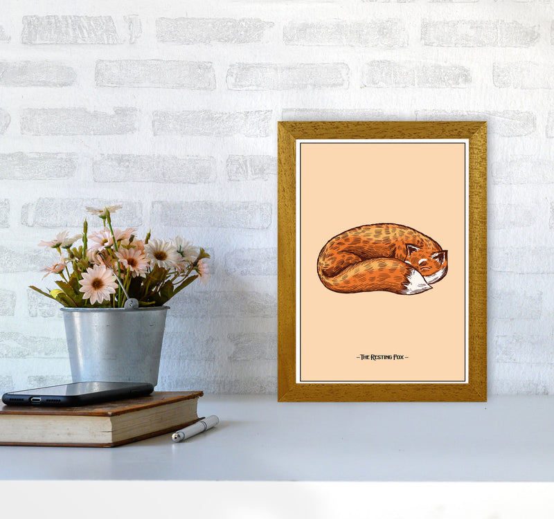 The Resting Fox Art Print by Jason Stanley A4 Print Only