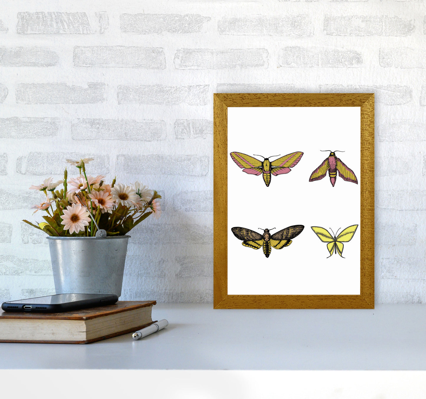 Vintage Moths Art Print by Jason Stanley A4 Print Only
