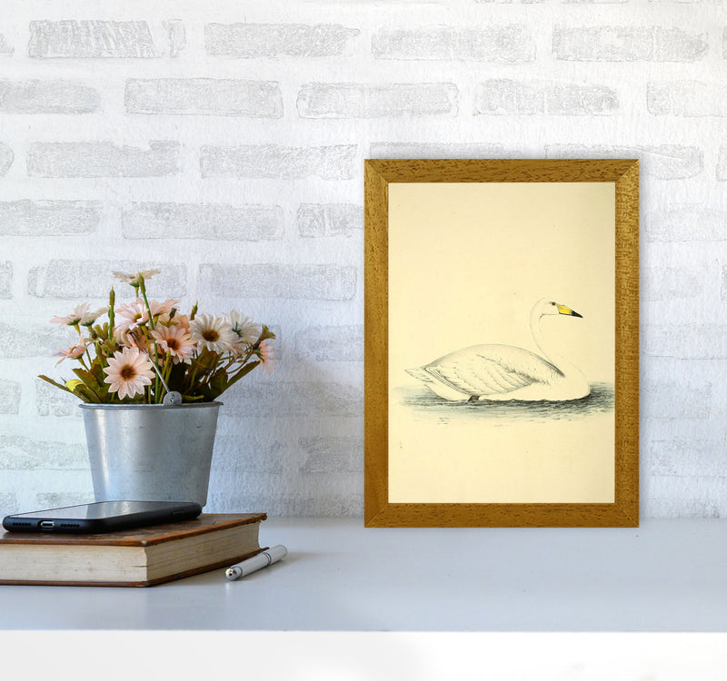 Vintage Swan Art Print by Jason Stanley A4 Print Only