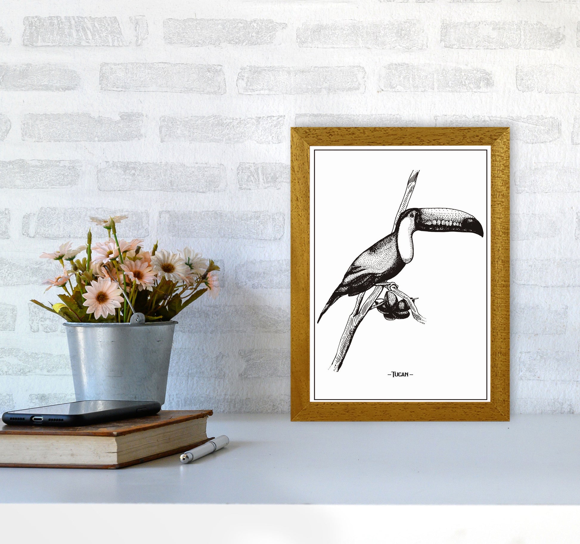 Tucan Art Print by Jason Stanley A4 Print Only