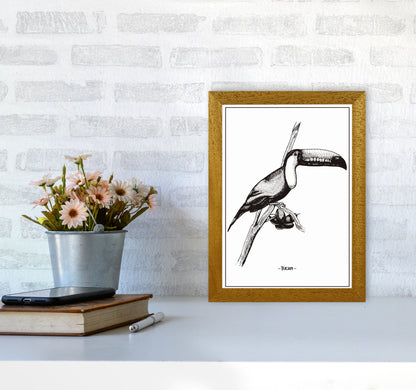 Tucan Art Print by Jason Stanley A4 Print Only