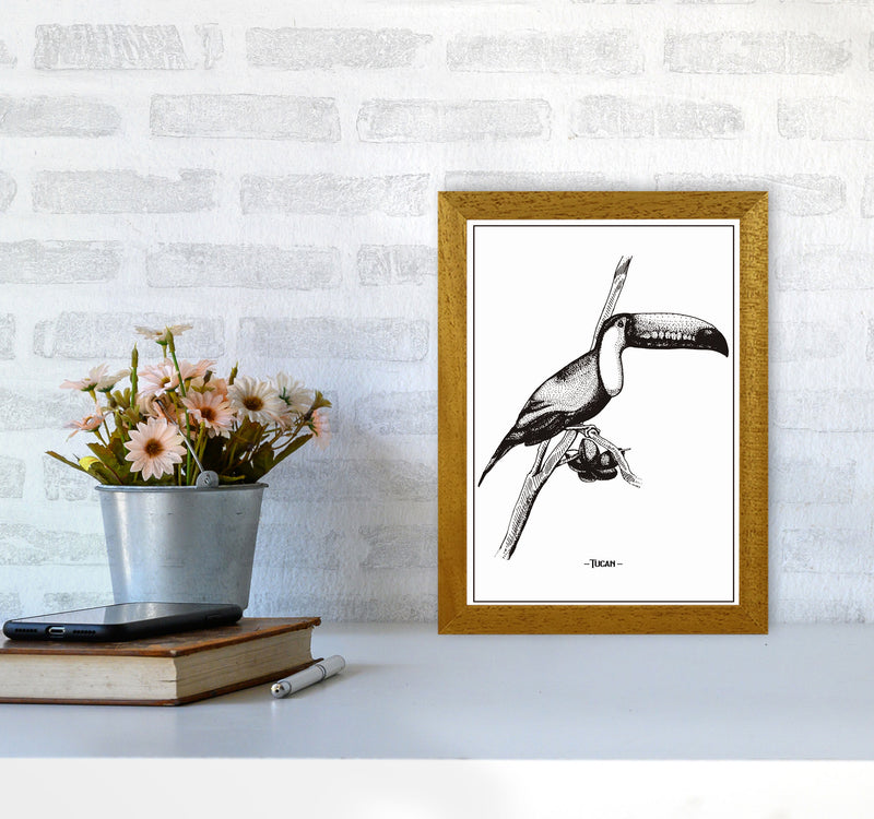 Tucan Art Print by Jason Stanley A4 Print Only