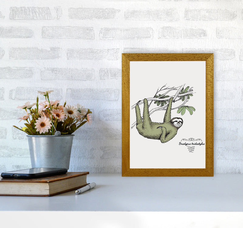 Sloth Art Print by Jason Stanley A4 Print Only