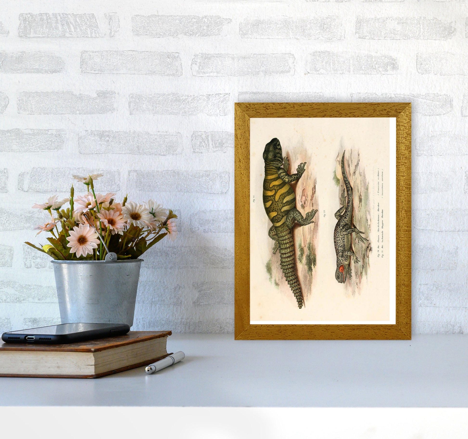 Vintage Lizard Illustration Art Print by Jason Stanley A4 Print Only