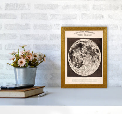 Telescopic Appearance Of The Moon Art Print by Jason Stanley A4 Print Only