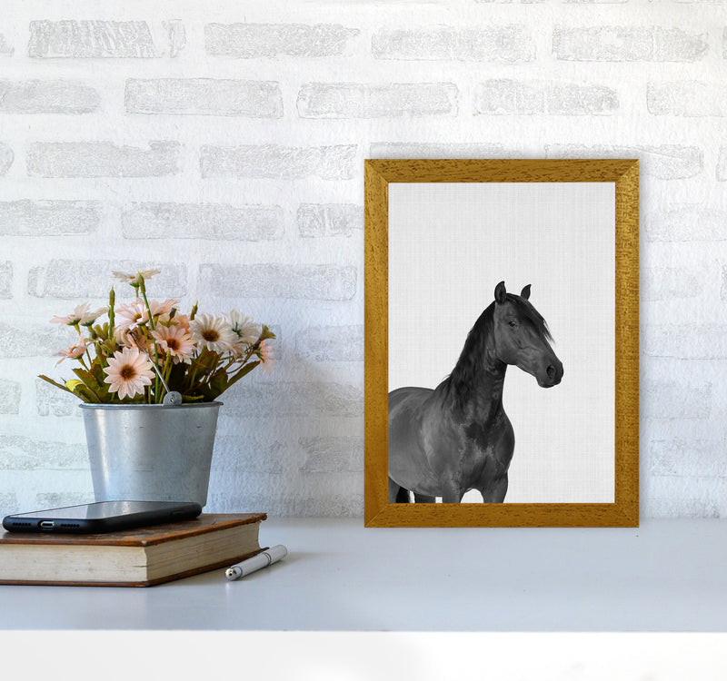 The Dark Horse Rides At Night Art Print by Jason Stanley A4 Print Only