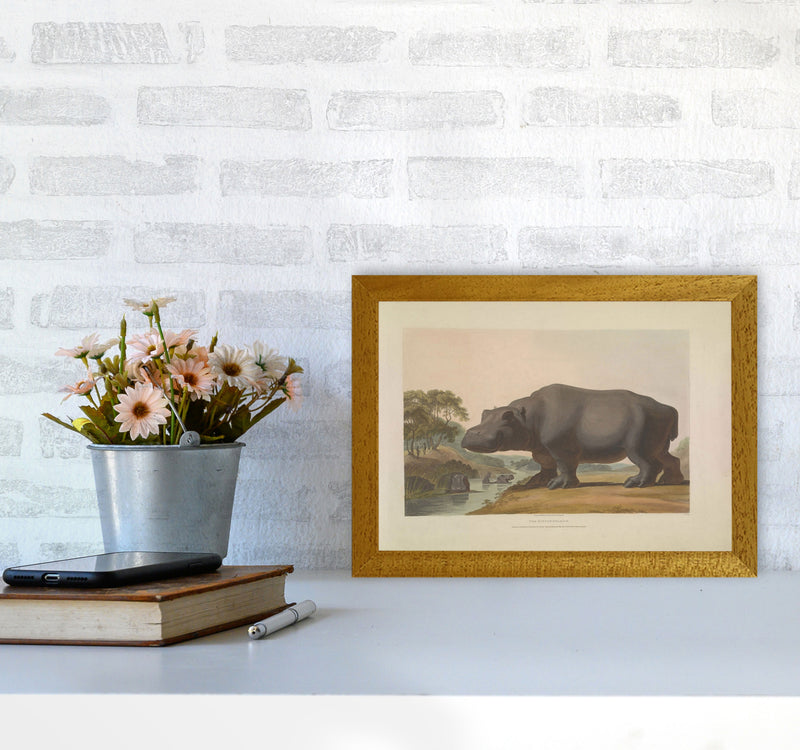 Vintage Hippo Illustration Art Print by Jason Stanley A4 Print Only