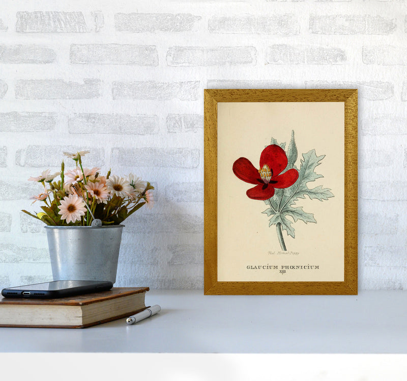 Vintage Flower Series 2 Art Print by Jason Stanley A4 Print Only