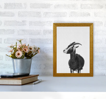 This Goat Takes The Cake Art Print by Jason Stanley A4 Print Only