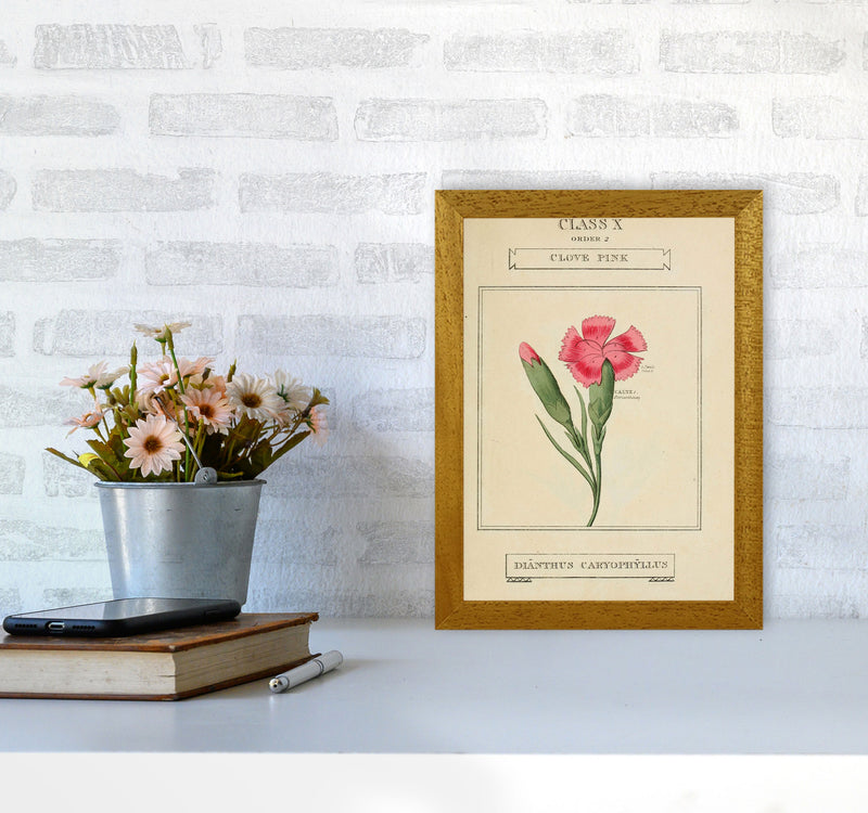 Vintage Flower Series 4 Art Print by Jason Stanley A4 Print Only