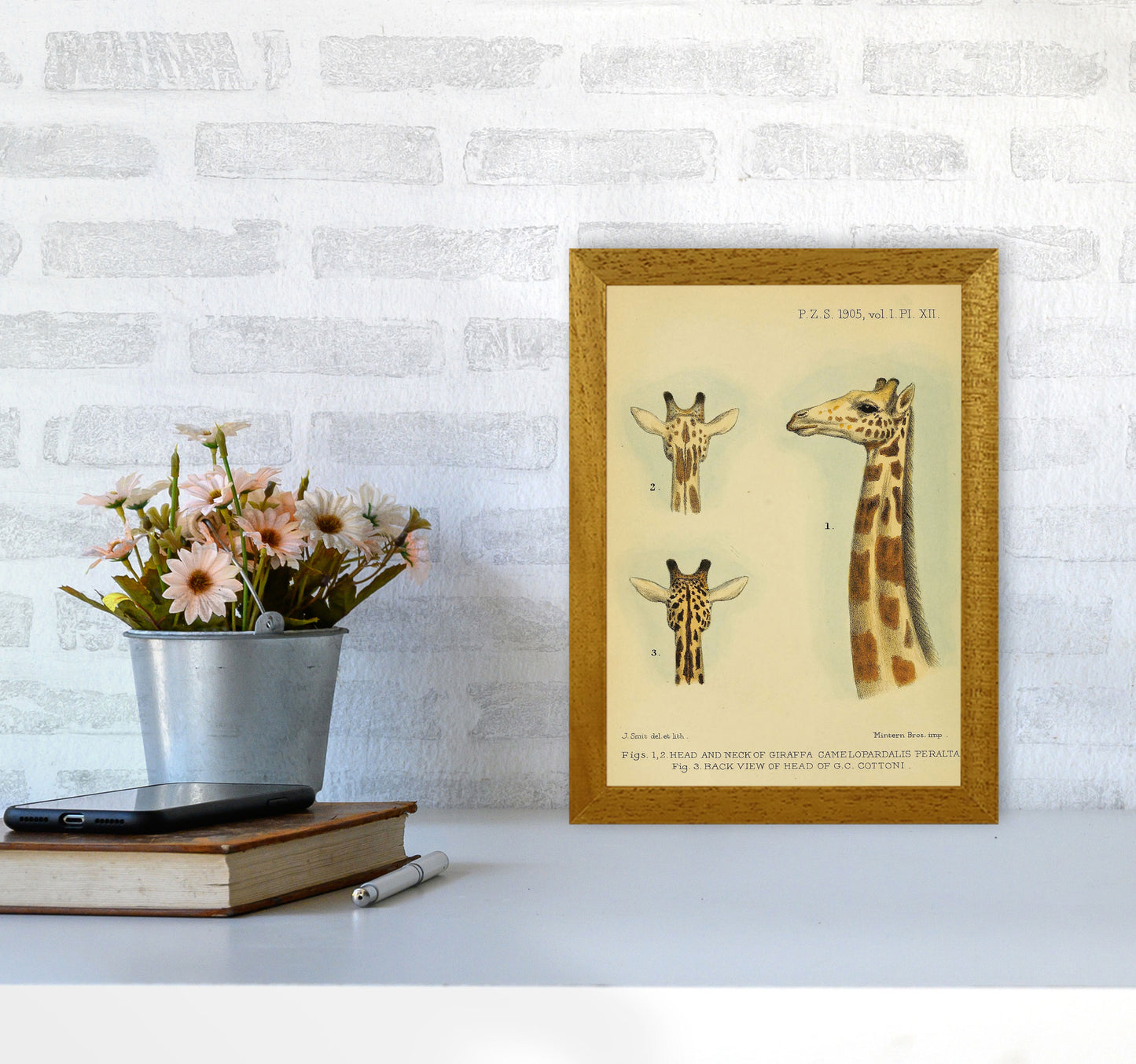 Longest Neck In The Jungle Art Print by Jason Stanley A4 Print Only