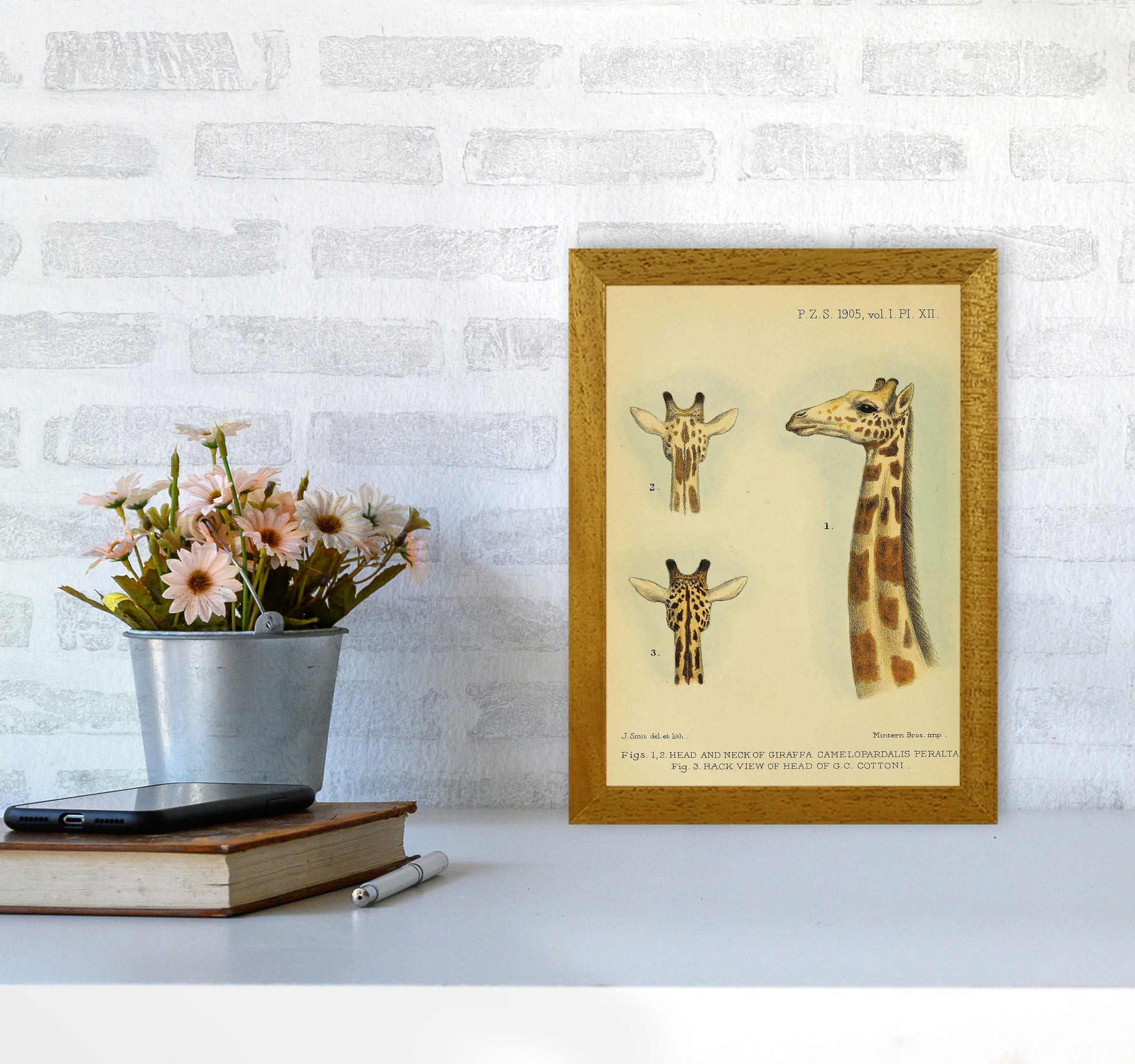Longest Neck In The Jungle Art Print by Jason Stanley A4 Print Only