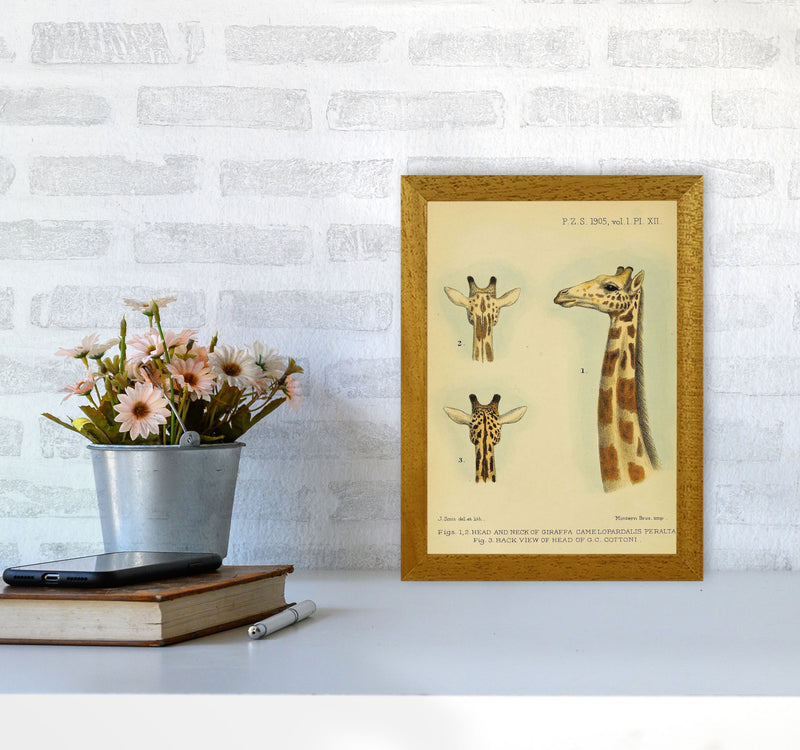 Longest Neck In The Jungle Art Print by Jason Stanley A4 Print Only