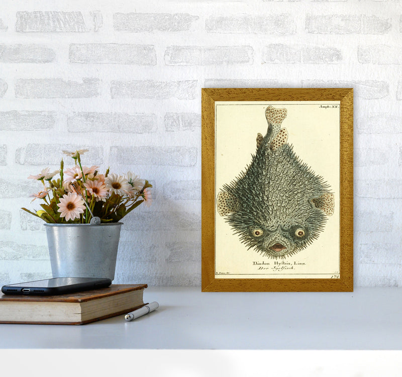 Vintage Japanese Fish Art Print by Jason Stanley A4 Print Only